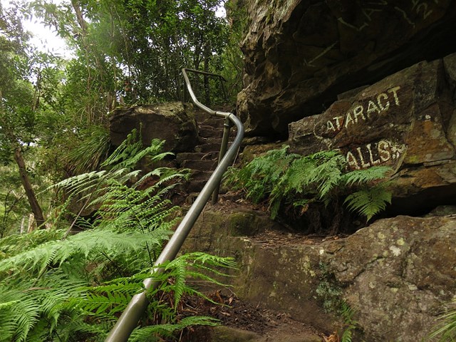 South Lawson Waterfall Circuit - Aussie Bushwalking