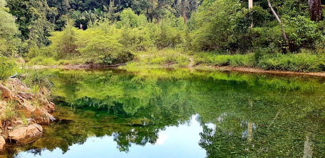 Gold mine walk Booloumba Creek Kenilworth - Aussie Bushwalking