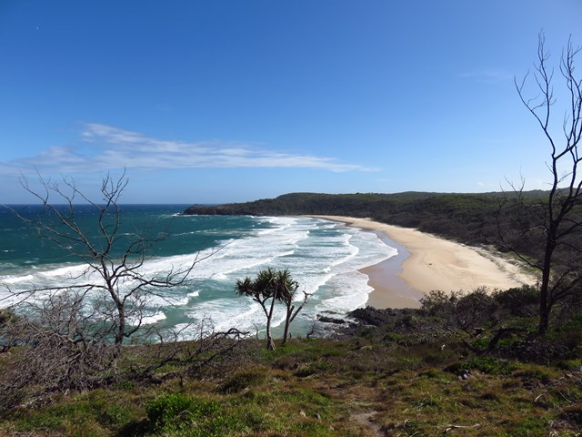 Noosa Headland Circuit - Aussie Bushwalking